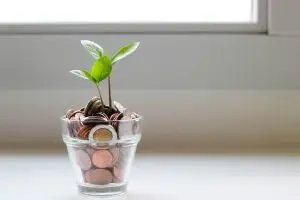 a green plant in a glass field with coins
