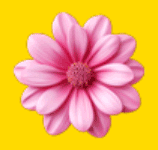 flower Ultatel